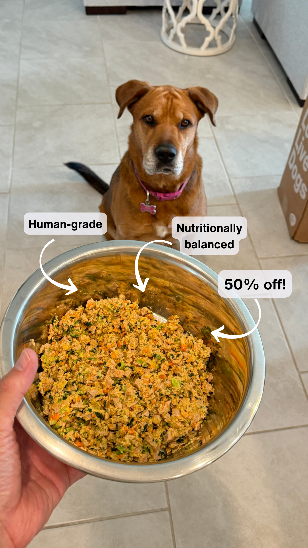 Rounds Of A Paws Facebook ad