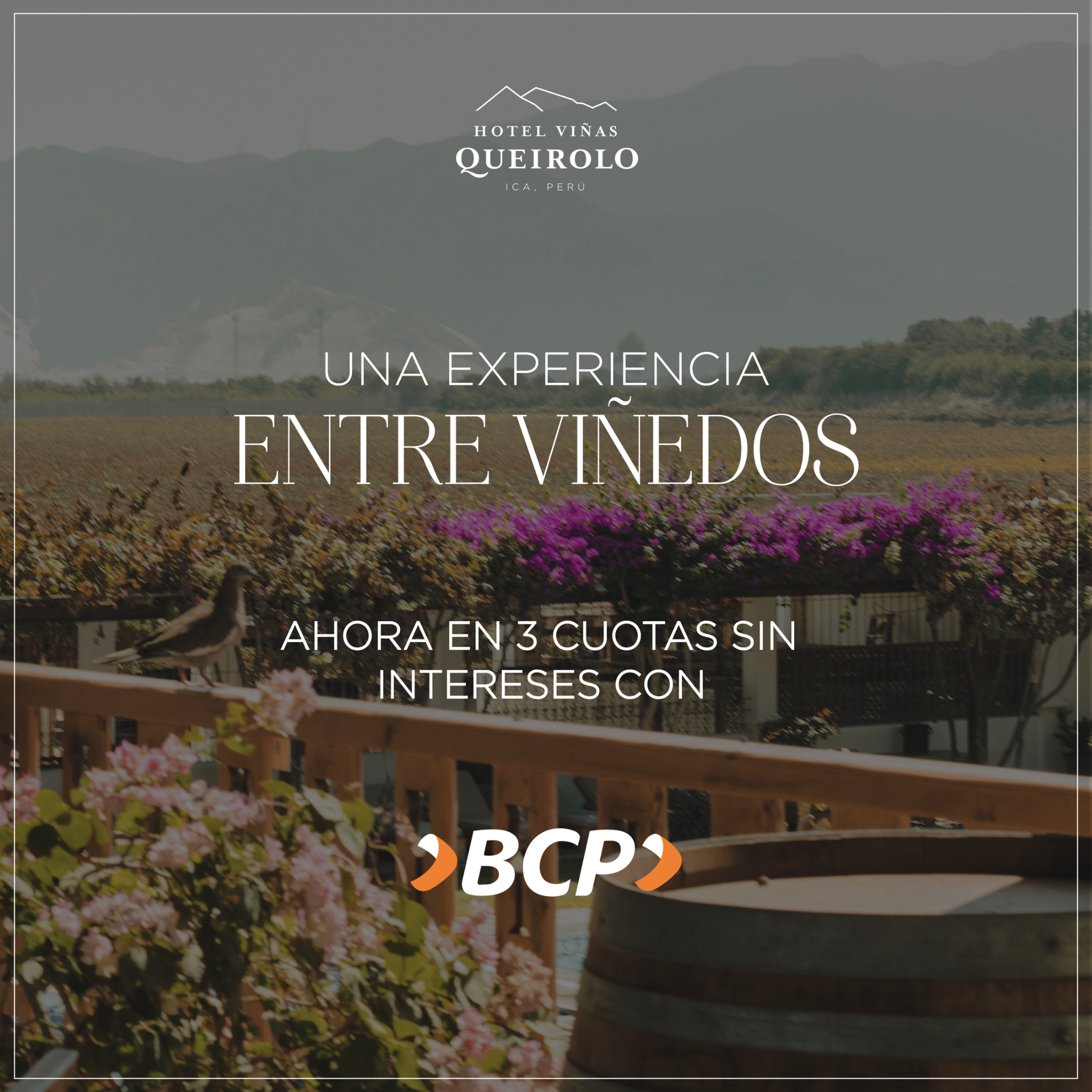 Hotel Viñas Queirolo Facebook ad: Reserva ahora