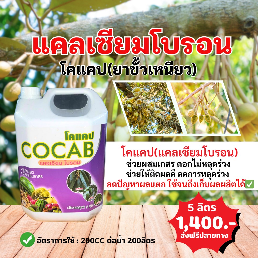 ก.เก่งการเกษตร คลังยาเกษตรออนไลน์ Facebook ad: ดอกทุเรียนร่วง = เสียโอกาส