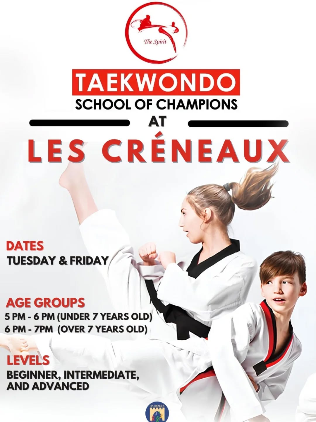 Taekwondo School of champions Facebook ad