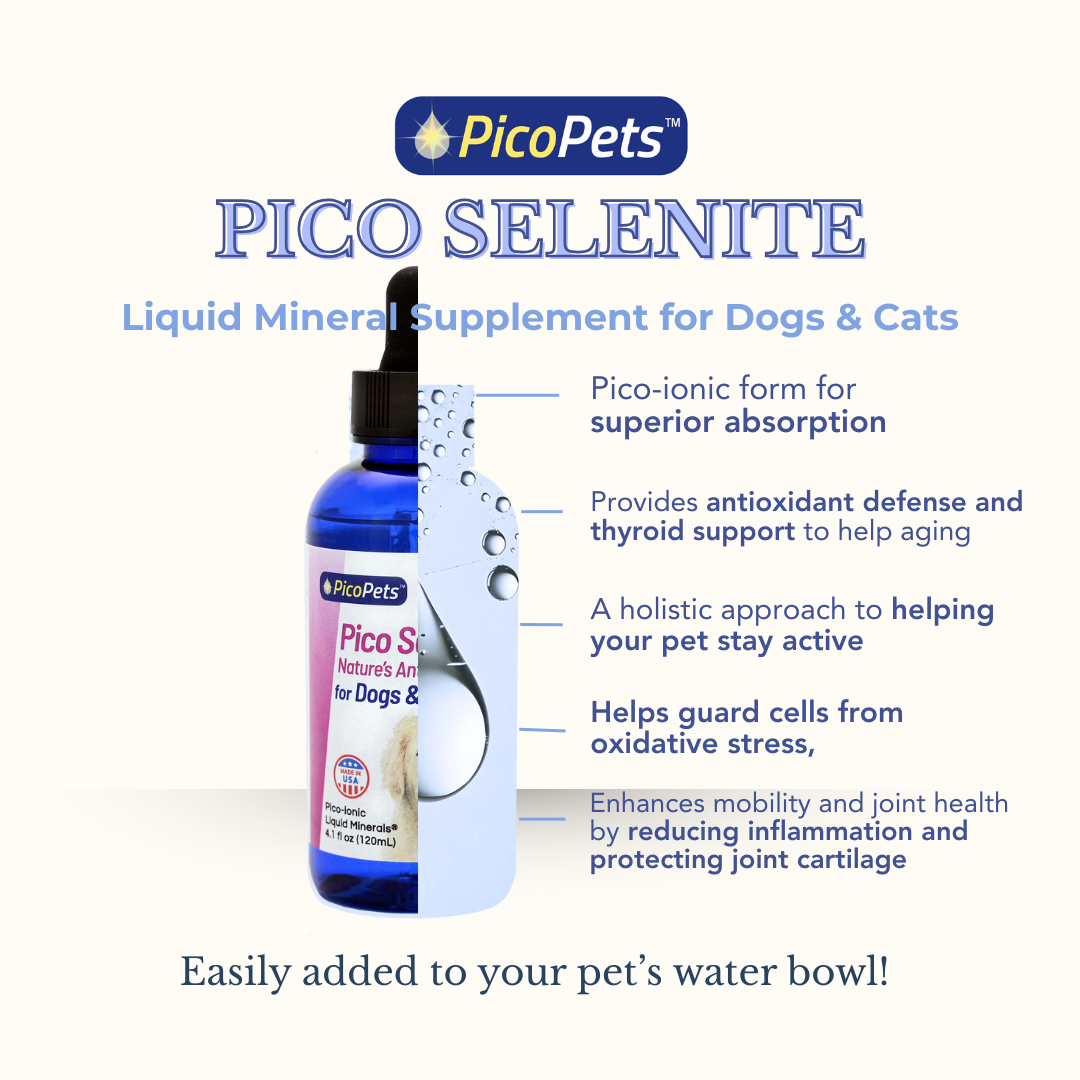 PicoPets Facebook ad