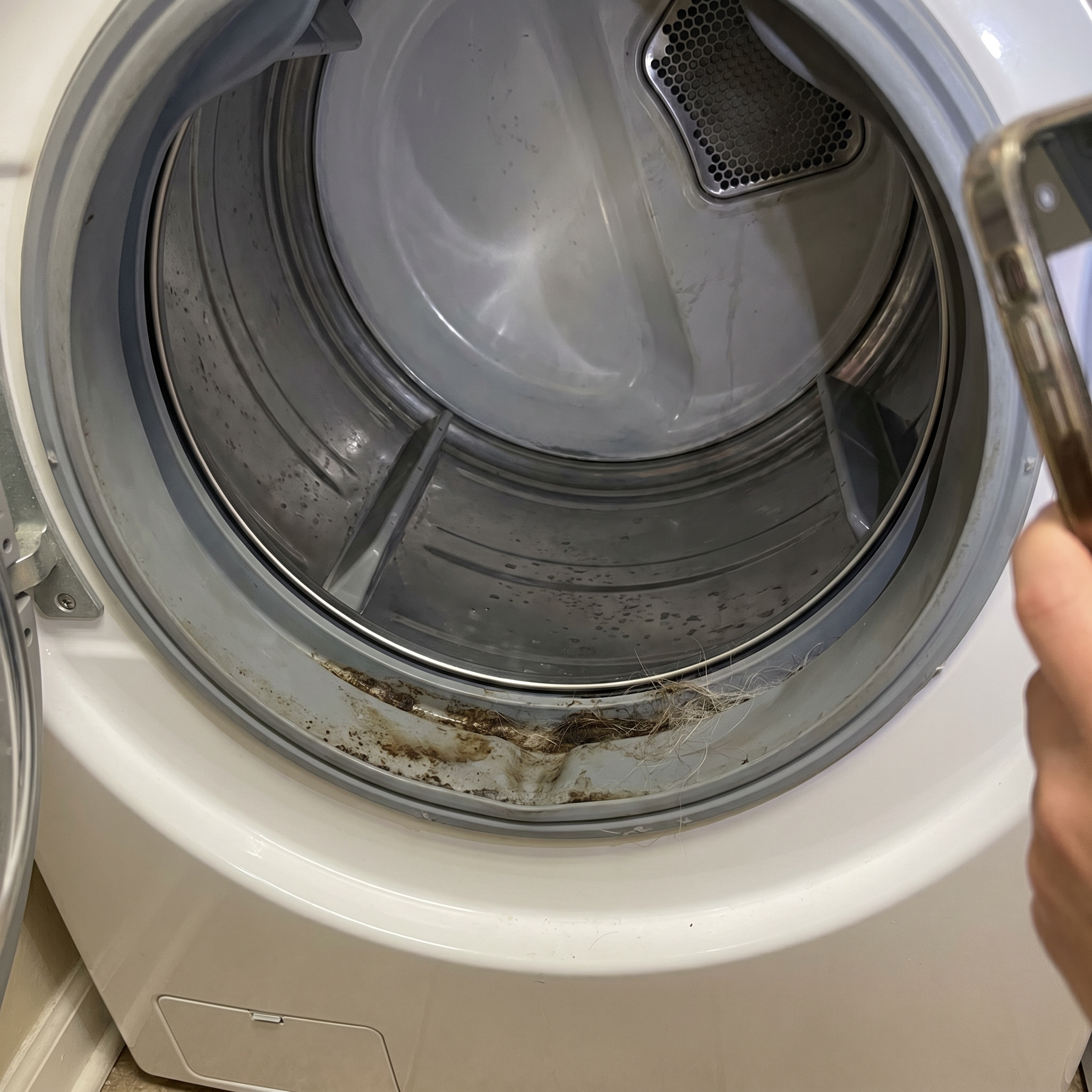 The National Home Laundry Association Facebook ad: Still Smells Like Wet Dog? Here's Why