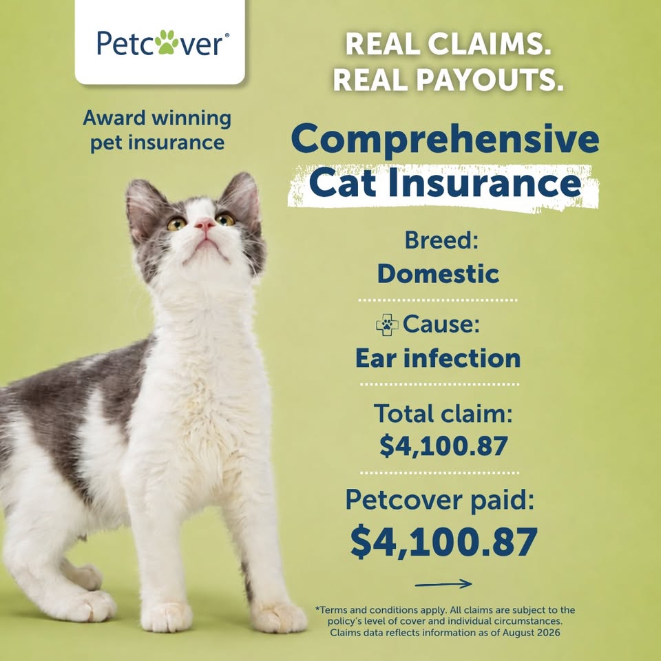 Petcover New Zealand Facebook ad