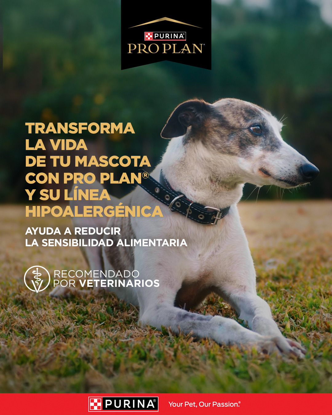 Purina Pro Plan Facebook ad