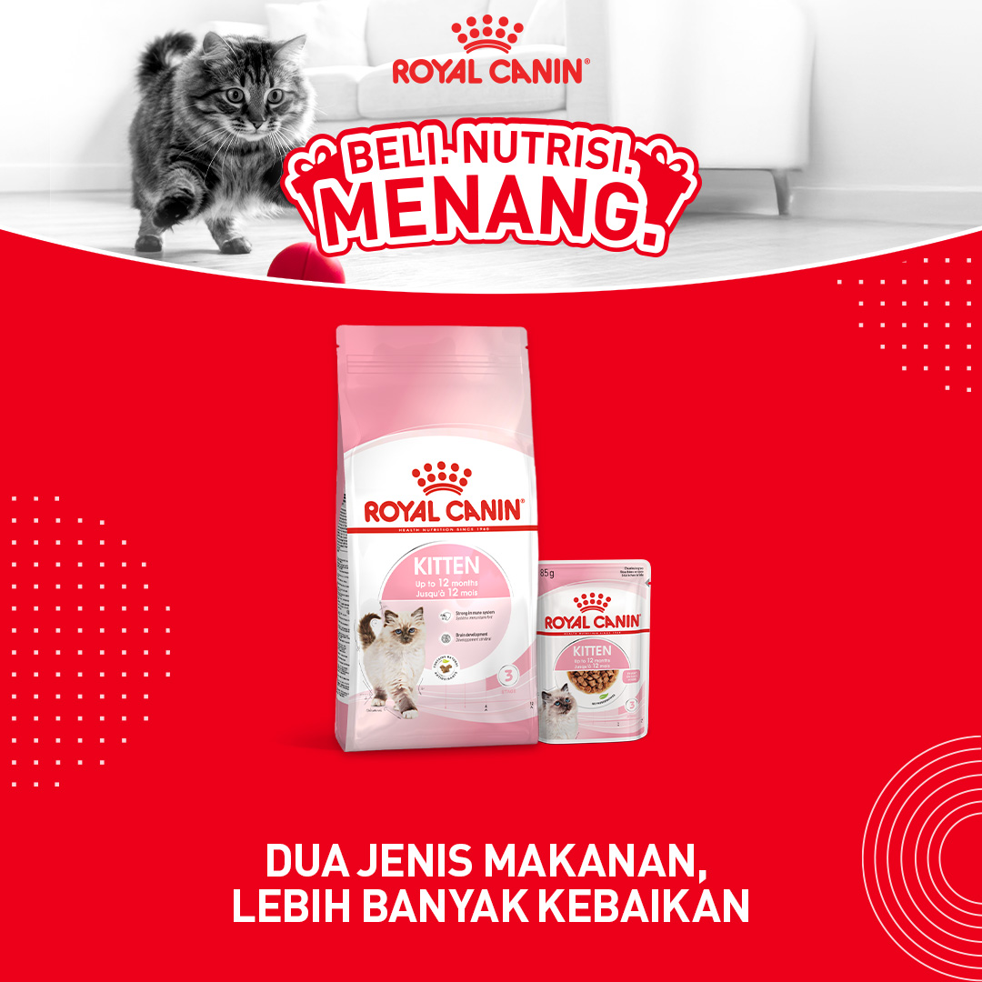 Royal Canin Facebook ad: Sekarang, setiap pembelian Royal Canin memberi anda peluang…