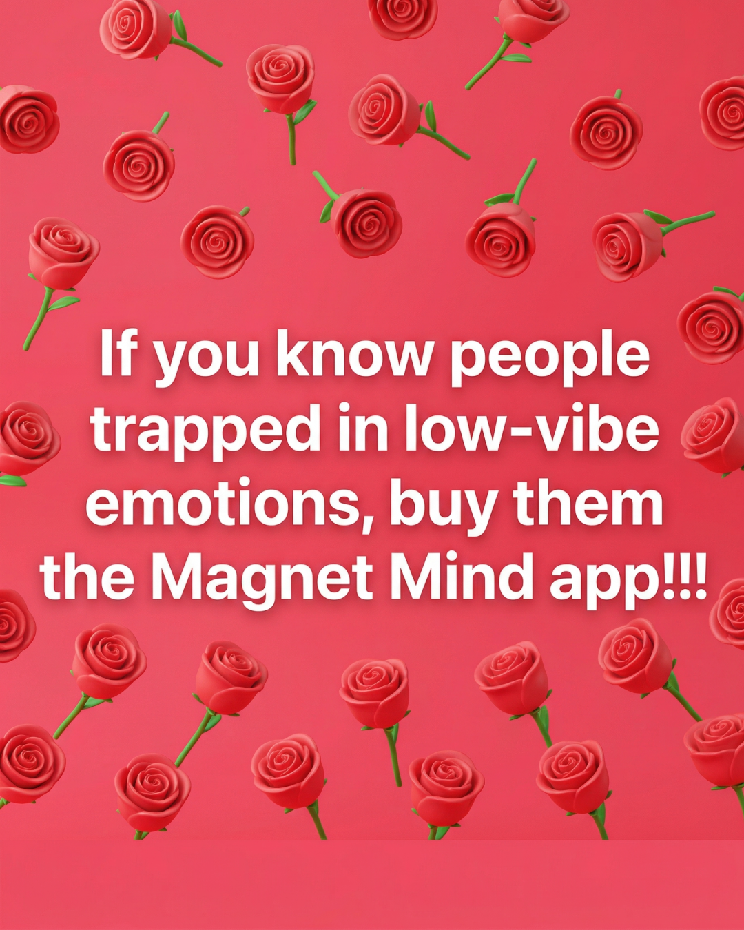 Magnet Mind Facebook ad
