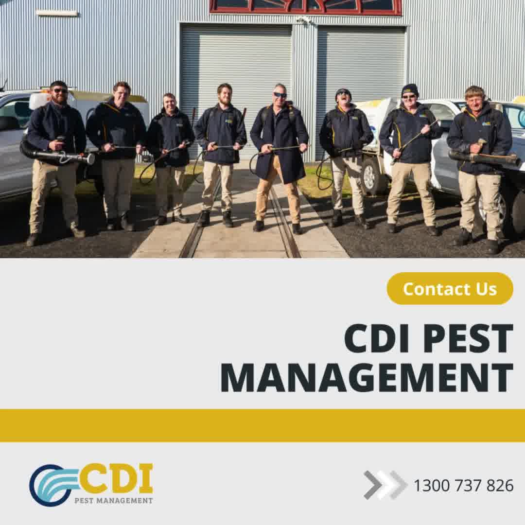 CDI Pest Management Facebook ad from Sep 3, 2025