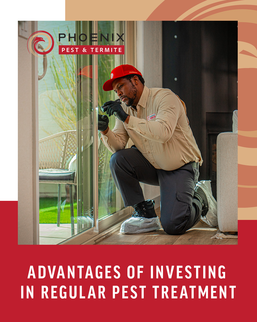 Phoenix Pest & Termite Control Facebook ad: Advantages of Regular Pest Treatment