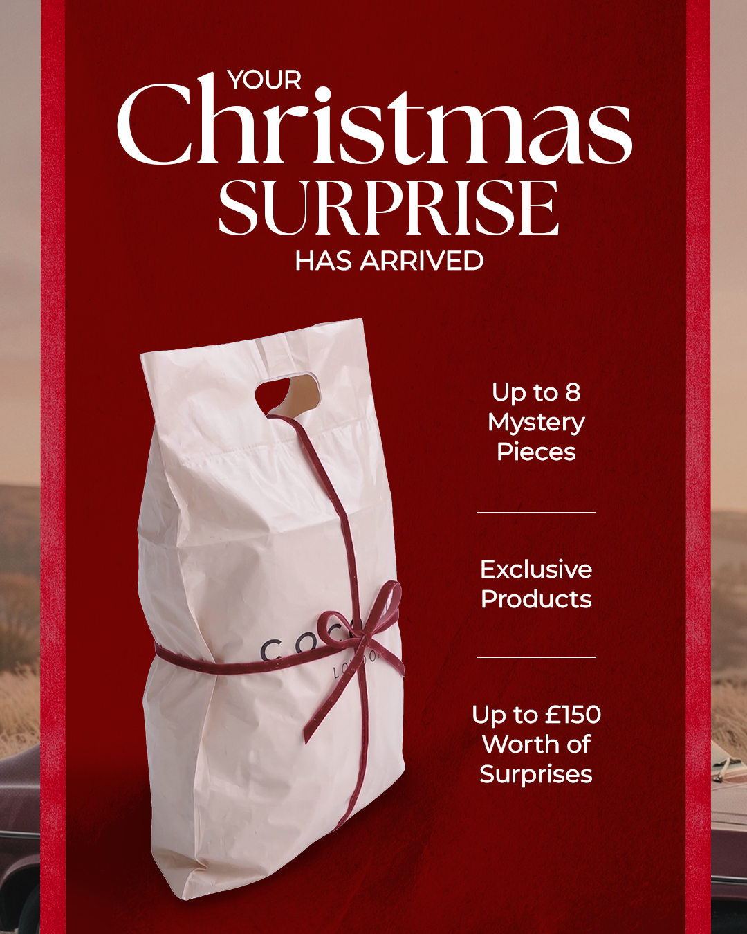 Cocopupuk Facebook ad: Your Pup's Secret Santa
