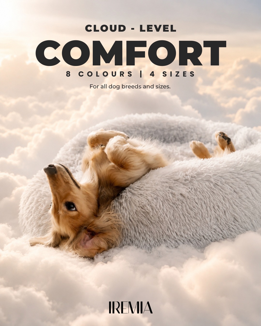 PetsPlanet Facebook ad
