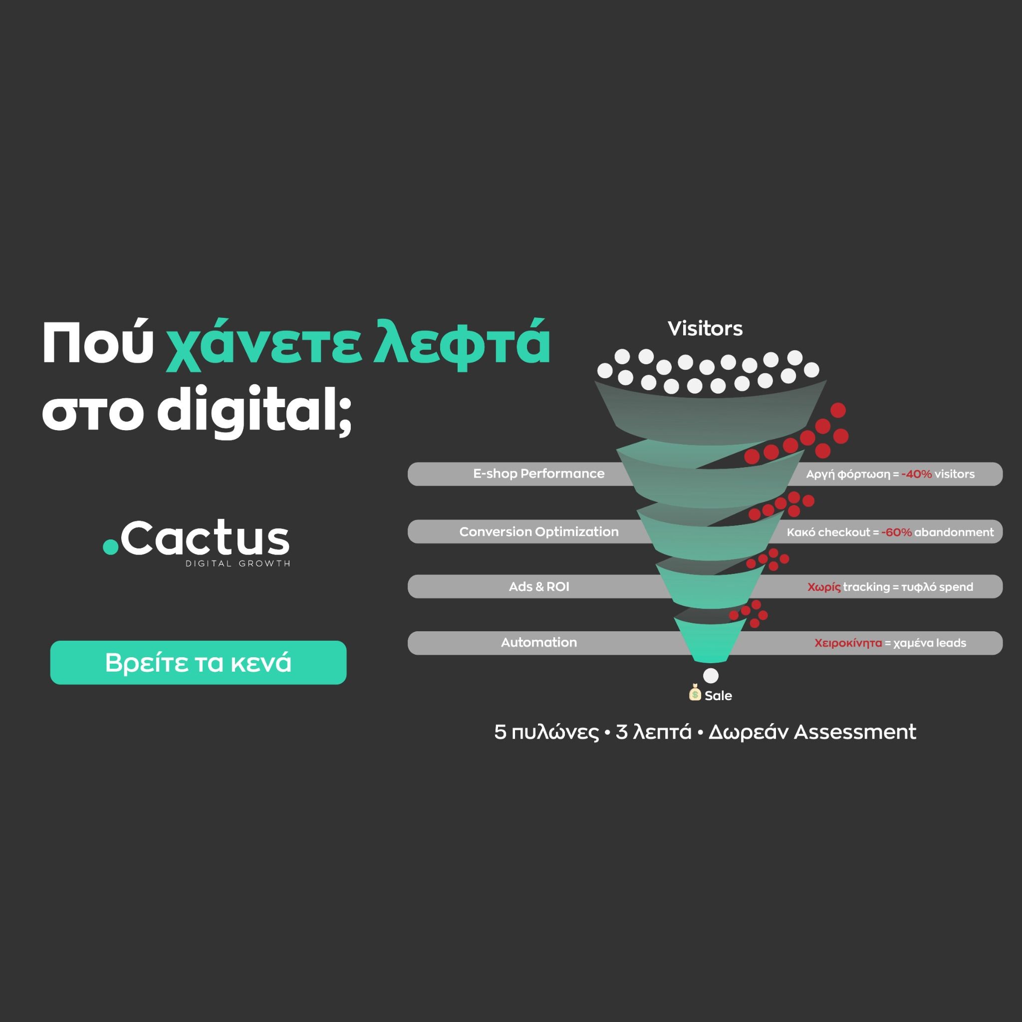Cactus Facebook ad