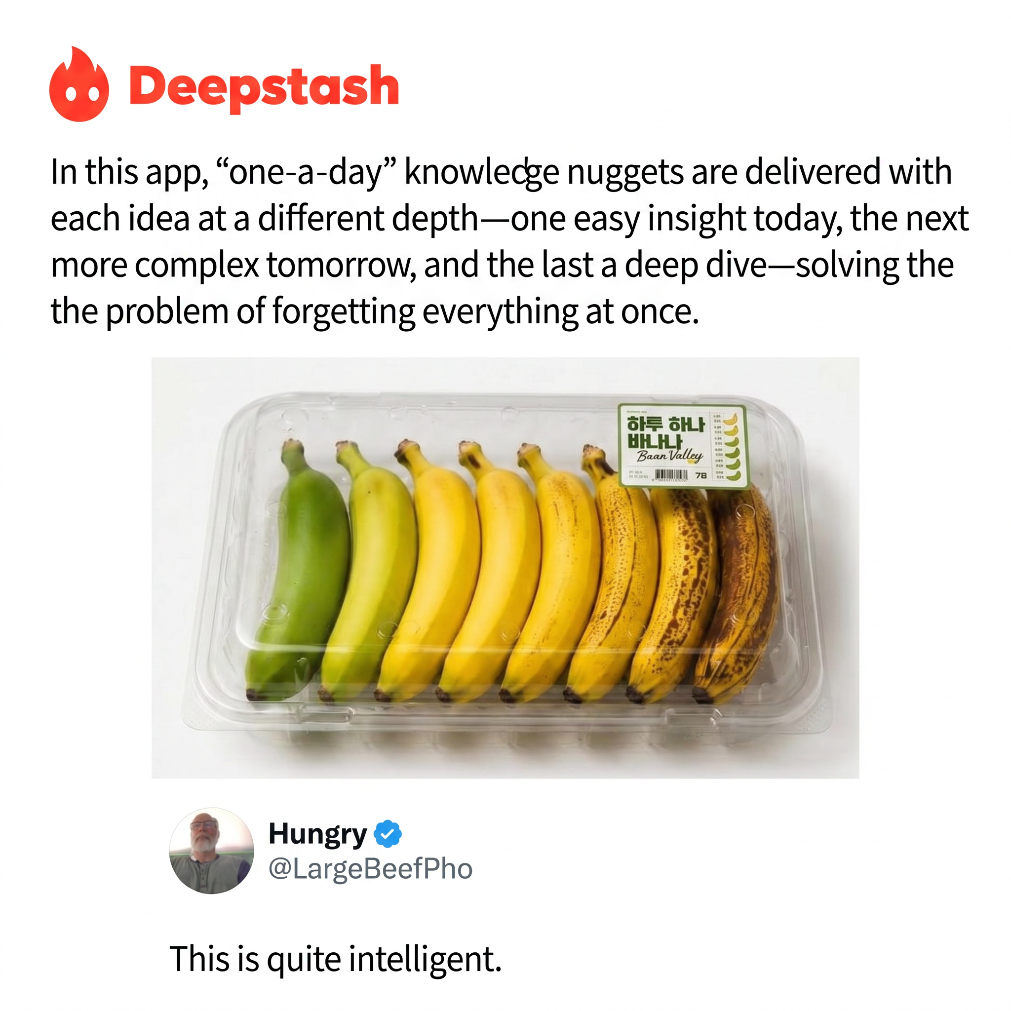Deepstash Facebook ad