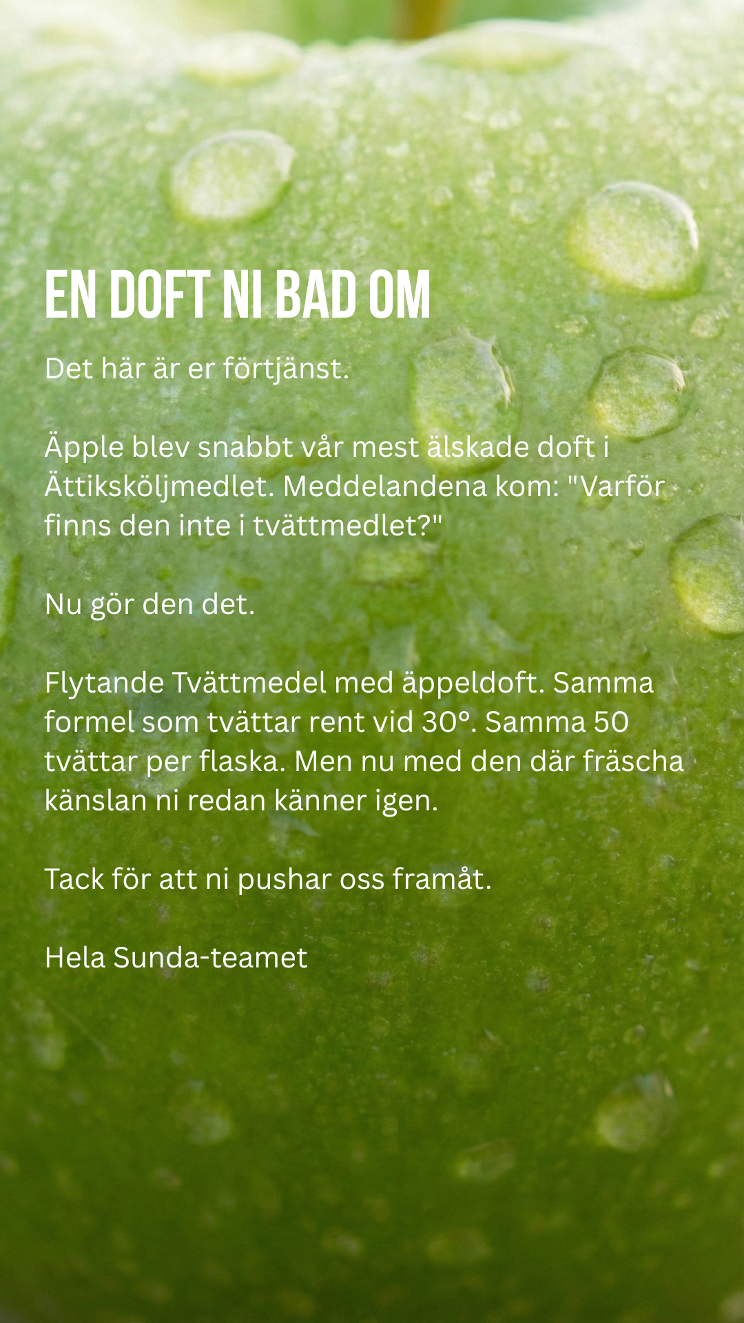 Sunda Facebook ad