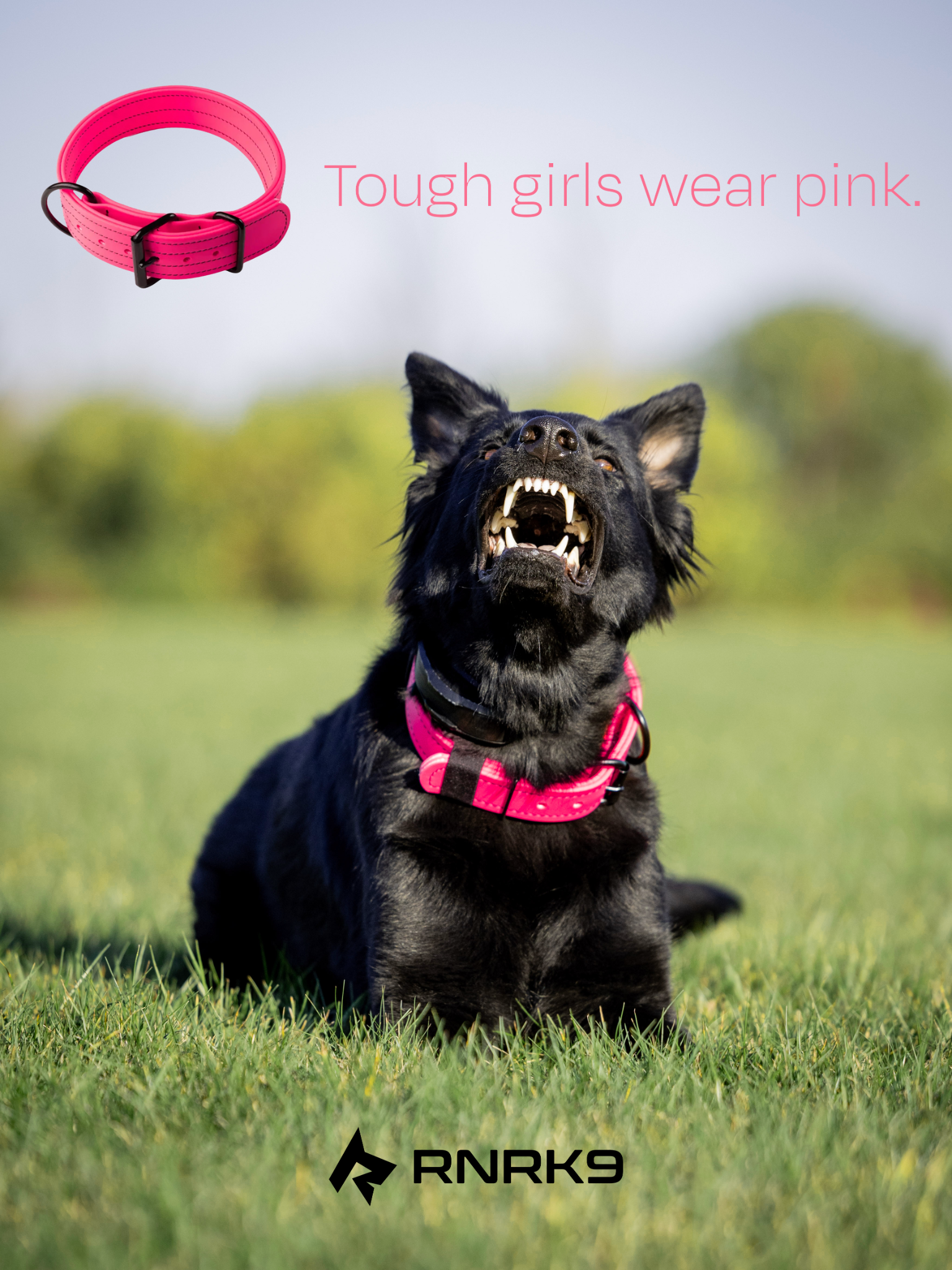 RnR K9 Facebook ad: Strength you can Measure