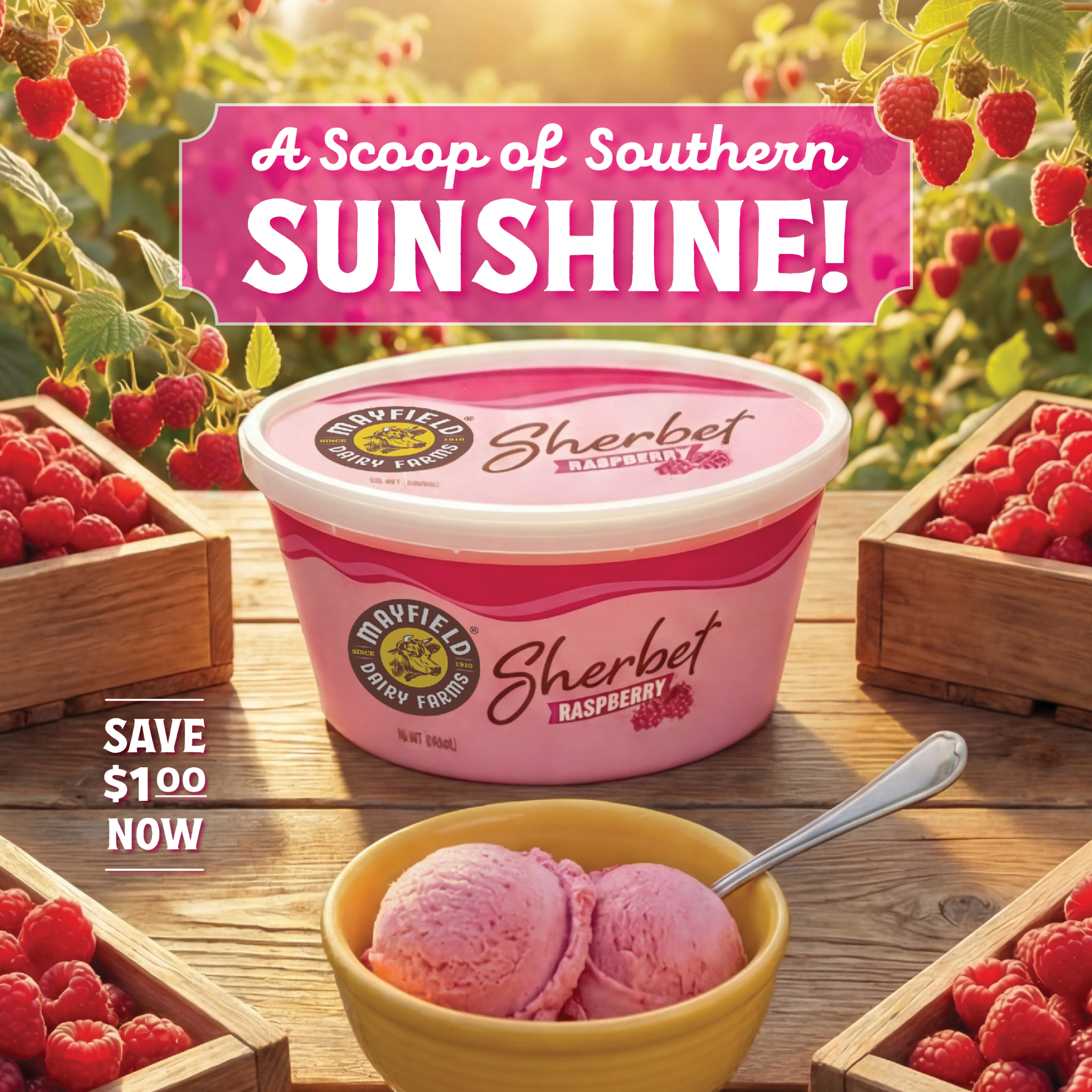 Mayfield Dairy Farms Facebook ad