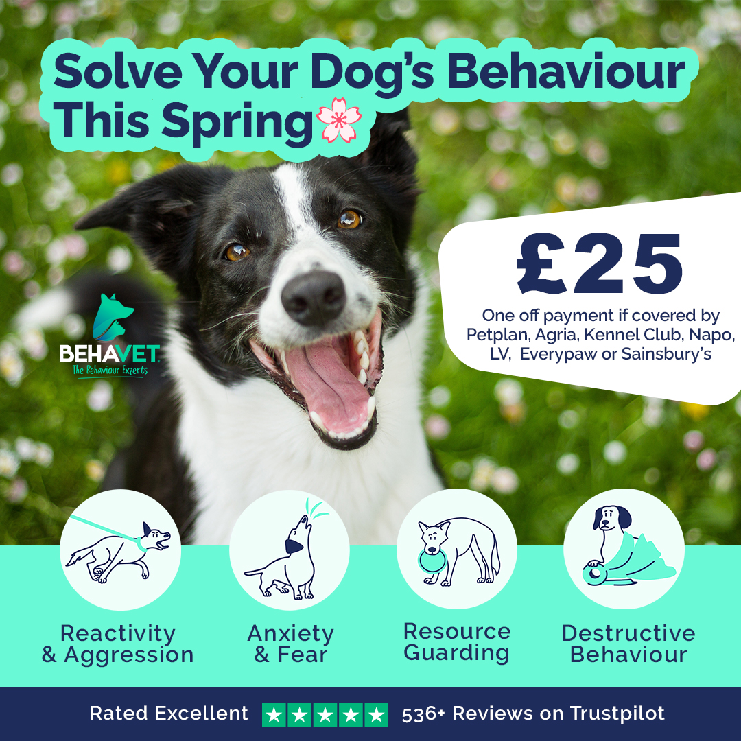 Behavet: The Pet Behaviour Experts Facebook ad