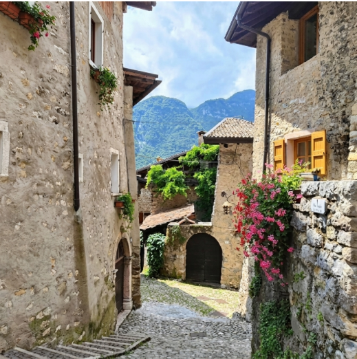 Clara Whitfield Facebook ad: Support Your Body's Natural Wellness Systems