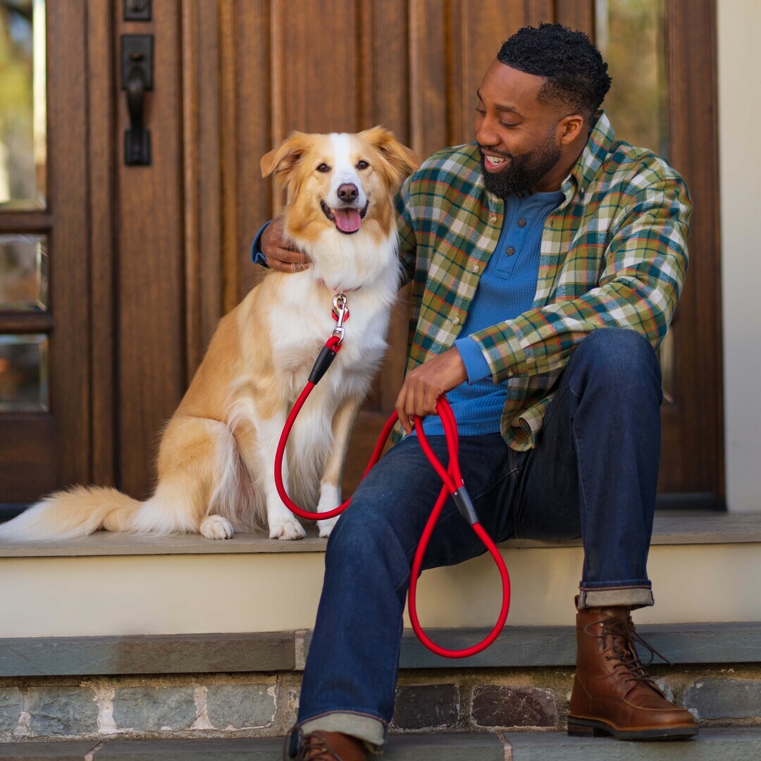 Petco Facebook ad