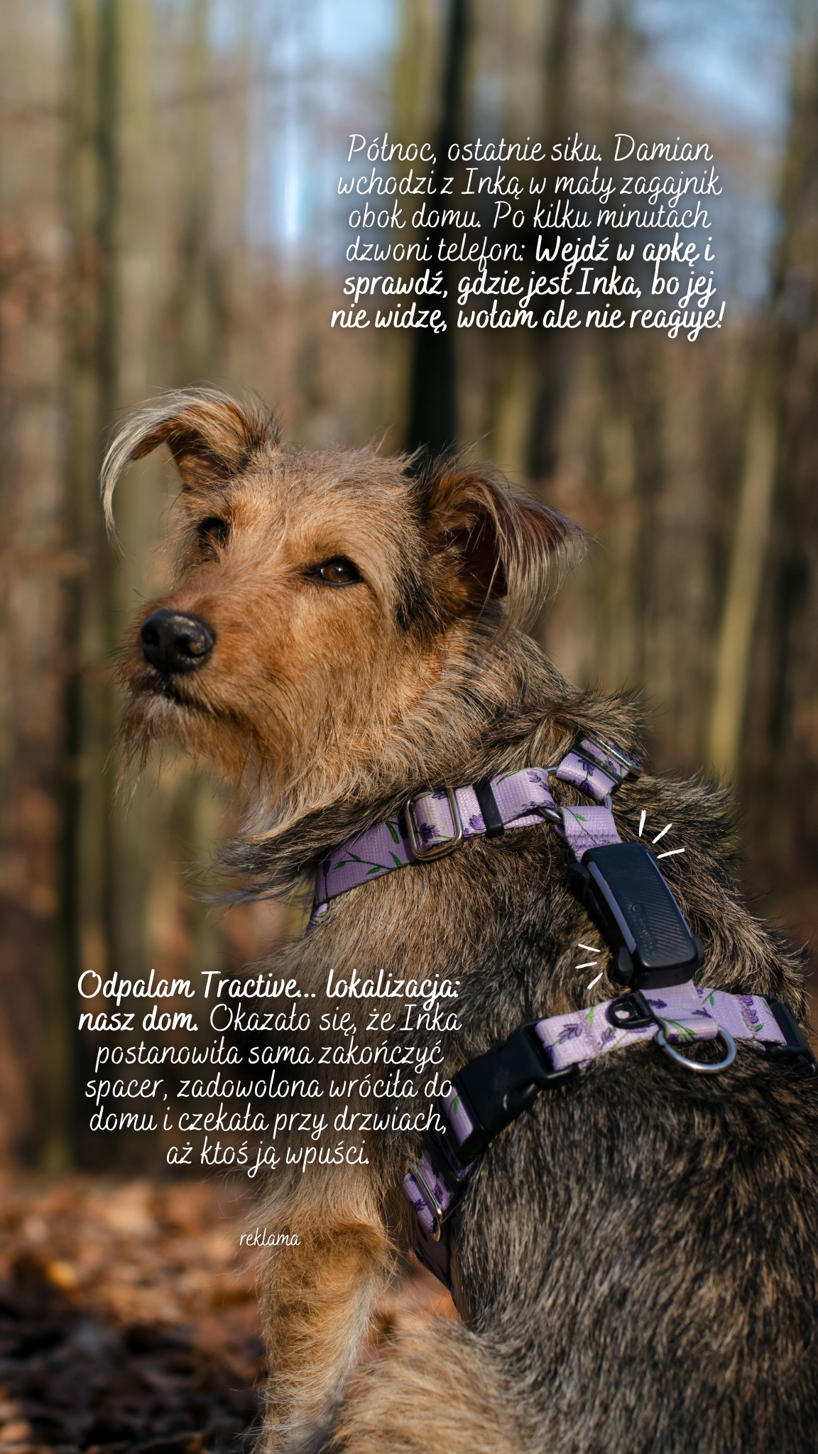 Tractive Facebook ad