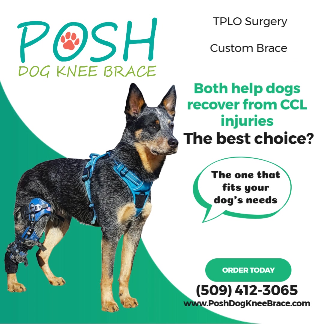 Posh Dog Knee Brace Facebook ad: Navigating a CCL injury for your best friend can be tough