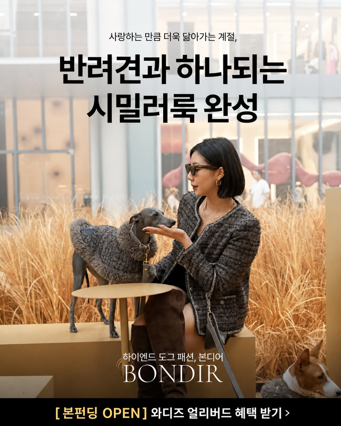 와디즈펀딩 Facebook ad: 최초 공개 | 하이엔드 도그 패션, Bondir