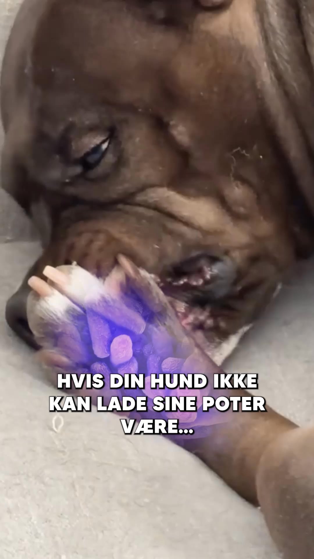 SuppliPet Facebook ad: Hvis Du Genkender Nogle Af Disse Tegn, Så Prøv Disse…