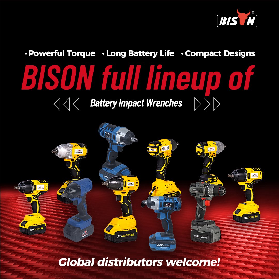 BISON Global Facebook ad