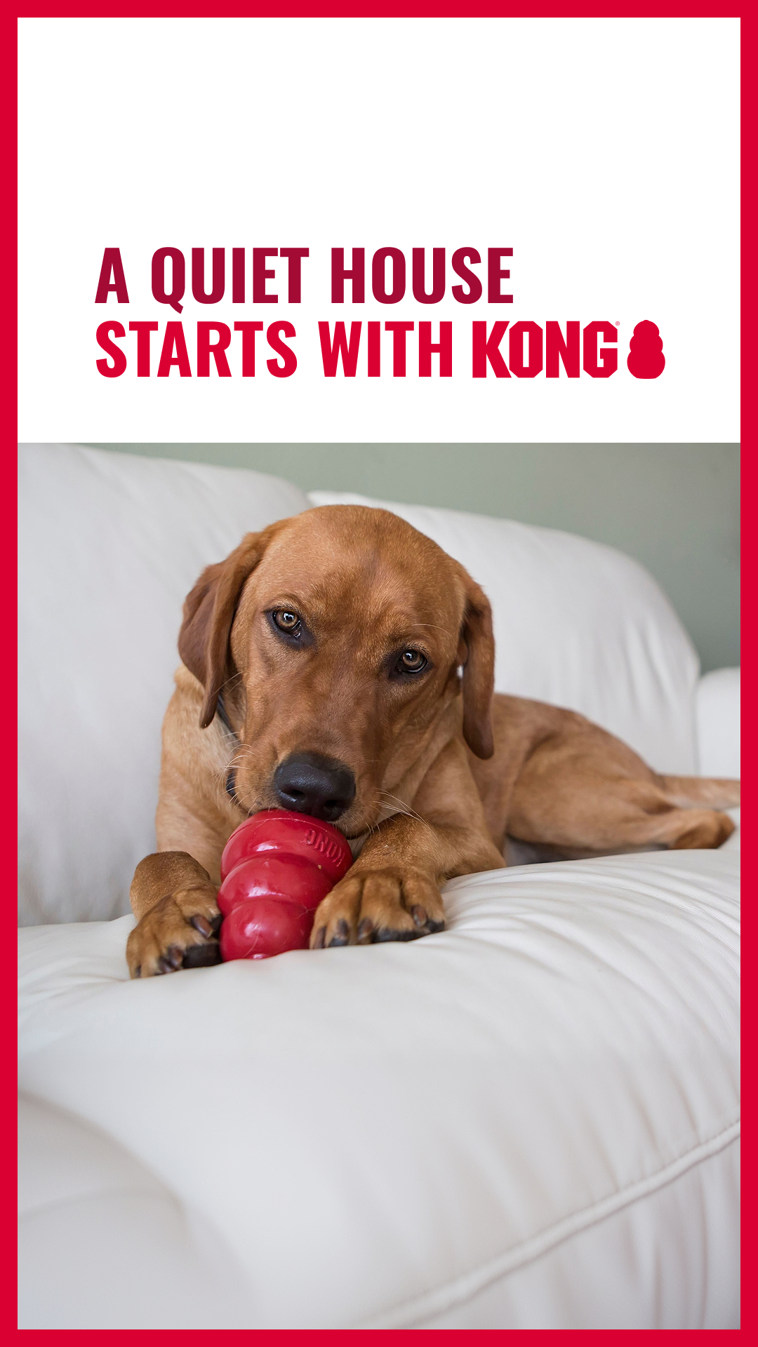 KONG Facebook ad