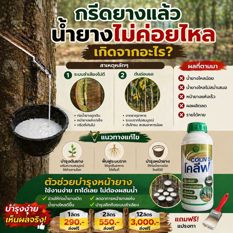 ก.เก่งการเกษตร คลังยาเกษตรออนไลน์ Facebook ad: กรีดยางแล้วน้ำยางไม่ค่อยไหล… อย่าพึ่งโทษการกรีด!