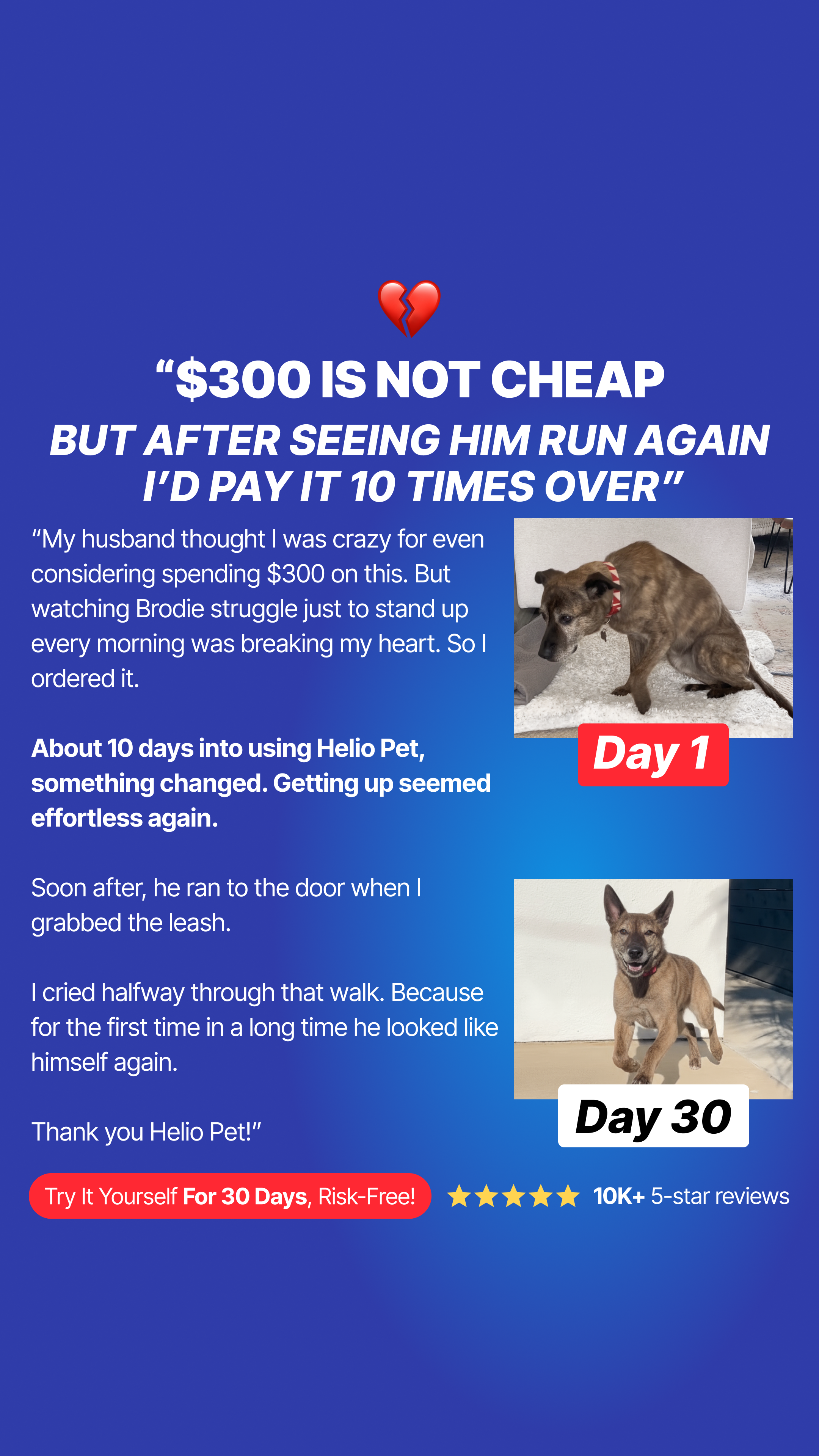 Helio Pet Facebook ad