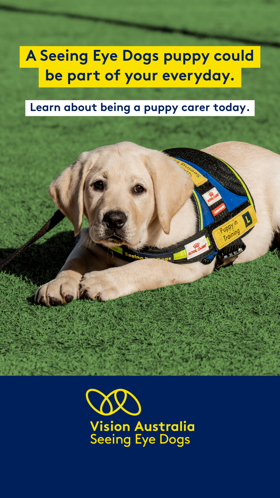 Seeing Eye Dogs Facebook ad from Feb 15, 2026
