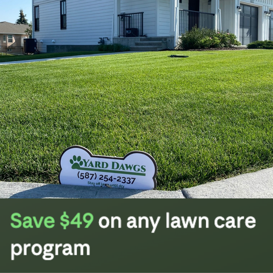 Yard Dawgs Lawn Care Facebook ad: $49 off Red Deer's best fertilizer and weed…