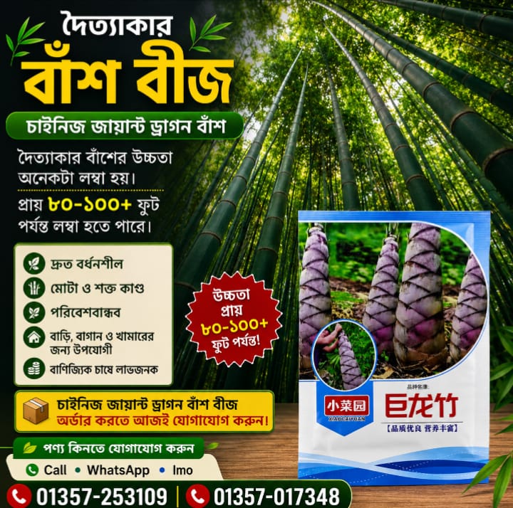 𝐒𝐞𝐞𝐝𝐆𝐨 Facebook ad
