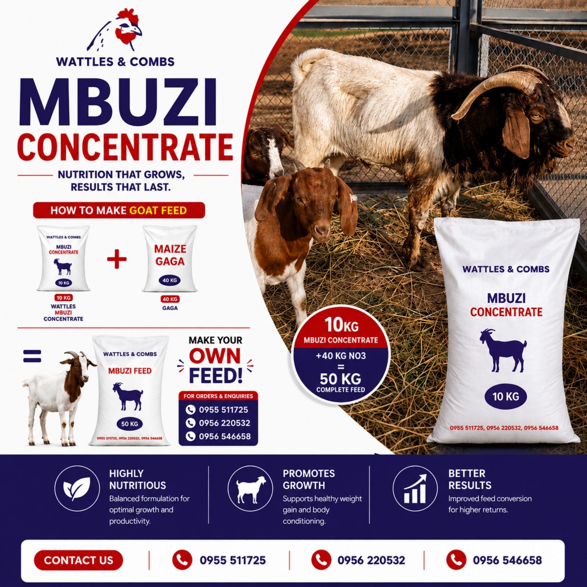 Wattles & Combs Feed Facebook ad: Give your livestock the nutrition they deserve with…