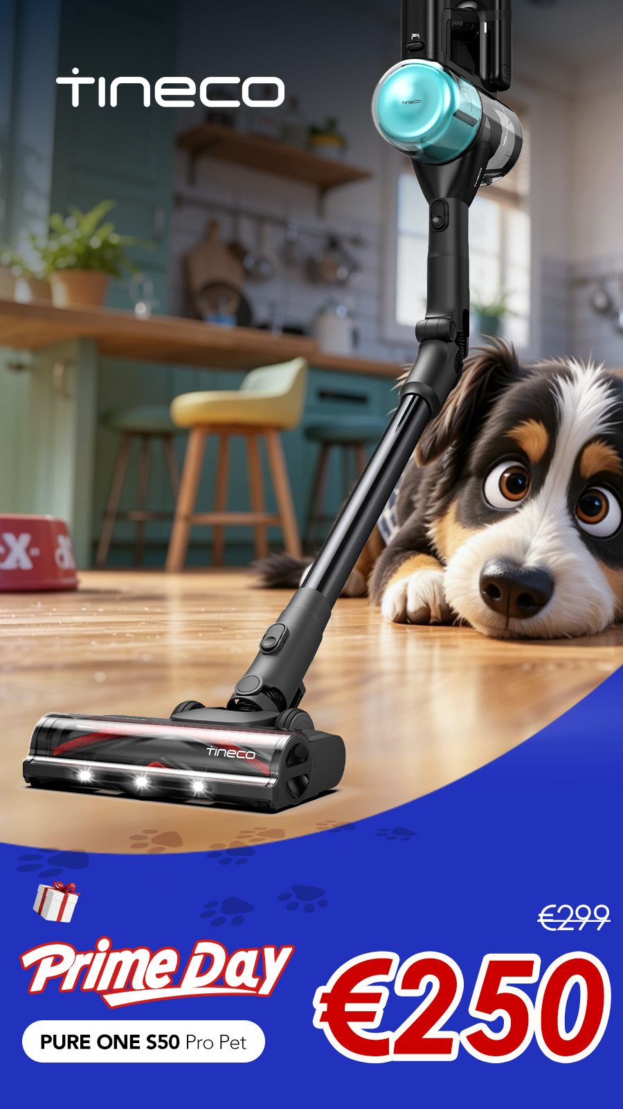 Tineco France Facebook ad