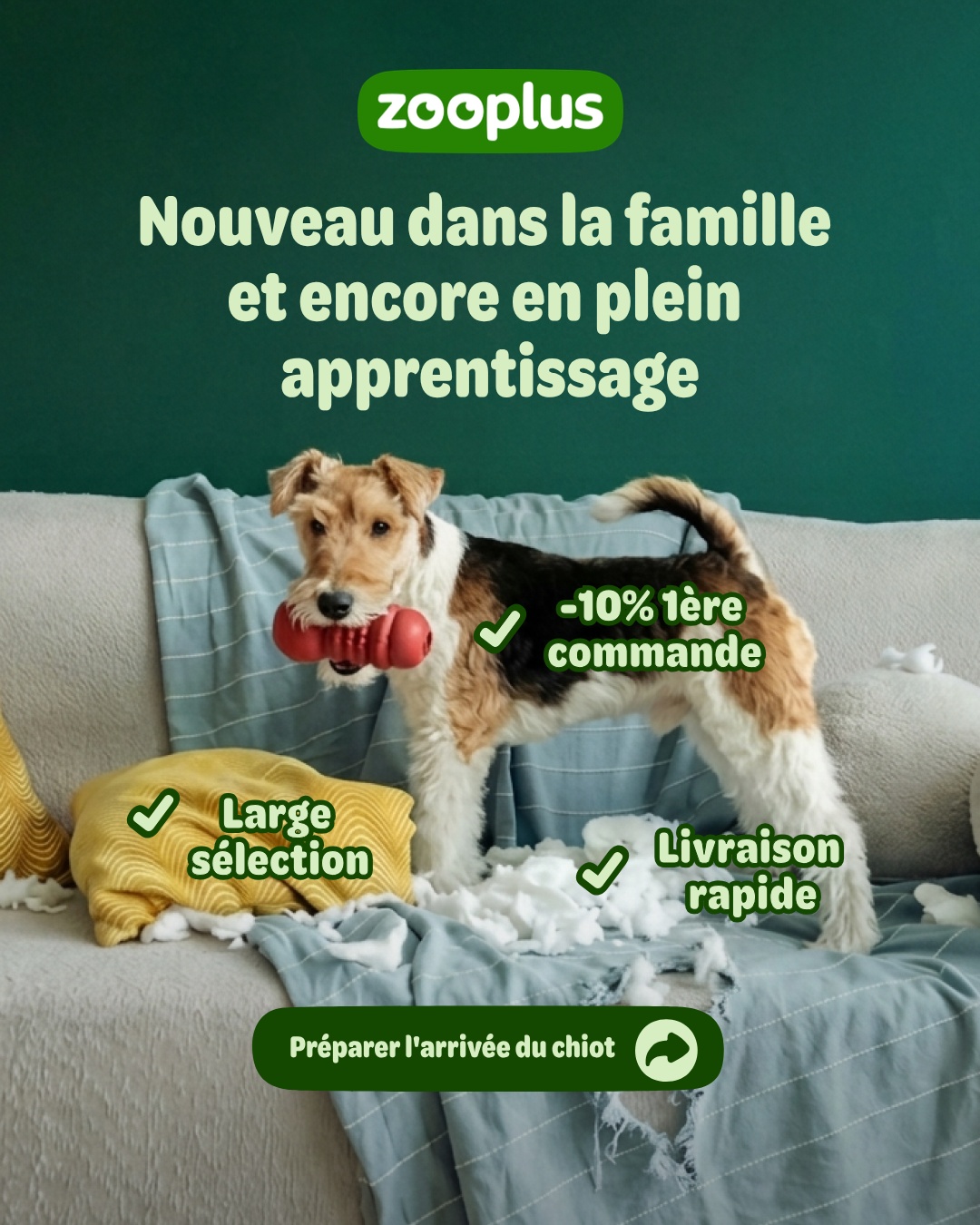 zooplus Facebook ad: La boutique du chiot - Nourriture et accessoires