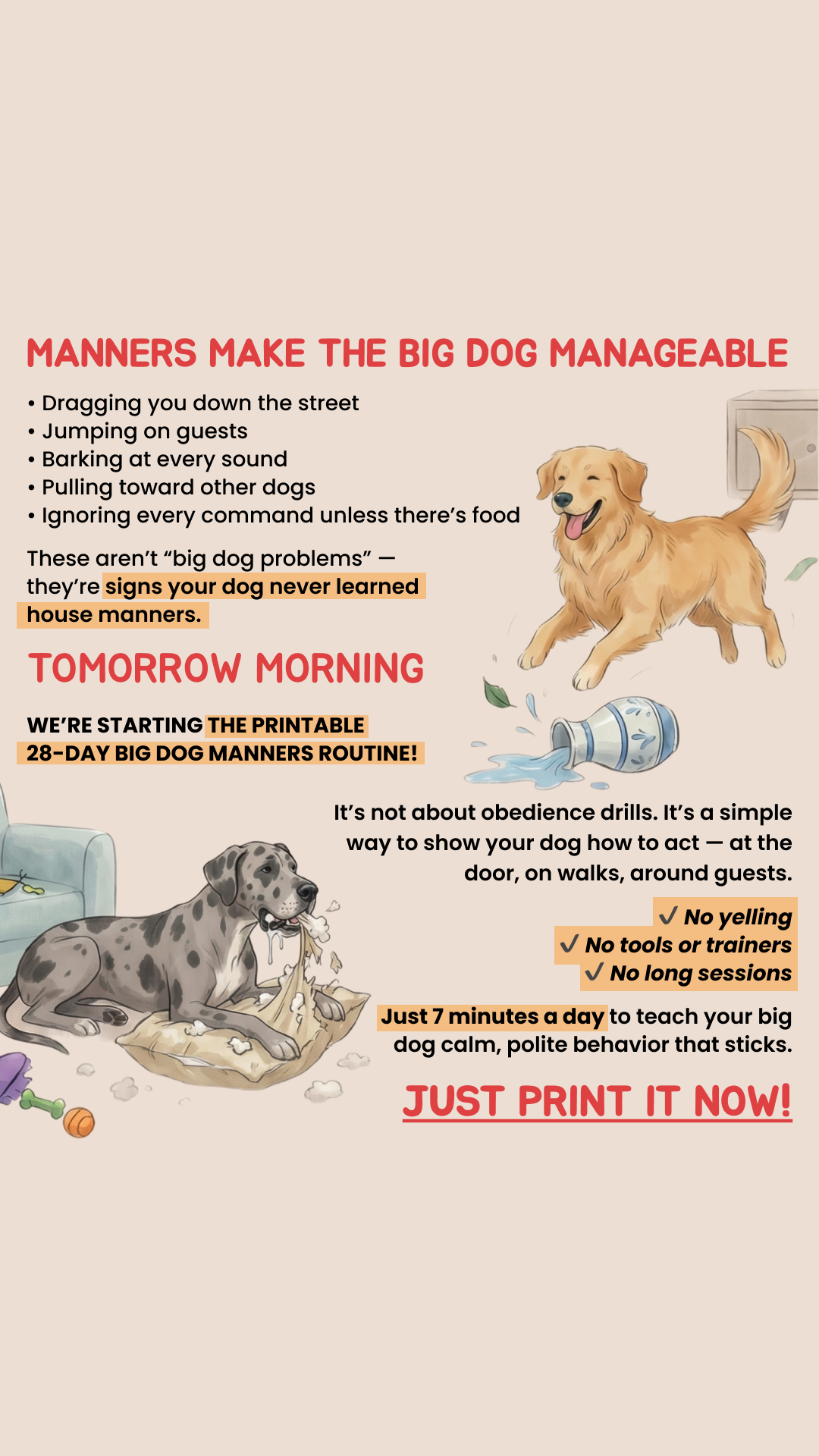 Jack Miller Facebook ad: Start Big Dog Manners Routine