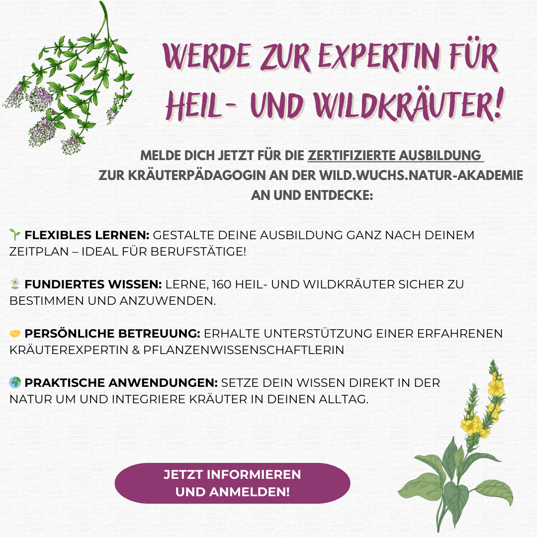 wild.wuchs.Natur Facebook ad