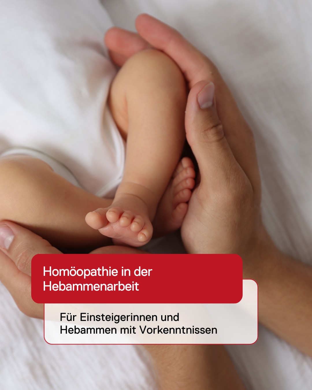 Deutsche Homöopathie-Union Facebook ad: Hebammen, aufgepasst! Ob Du neu in die Homöopathie…