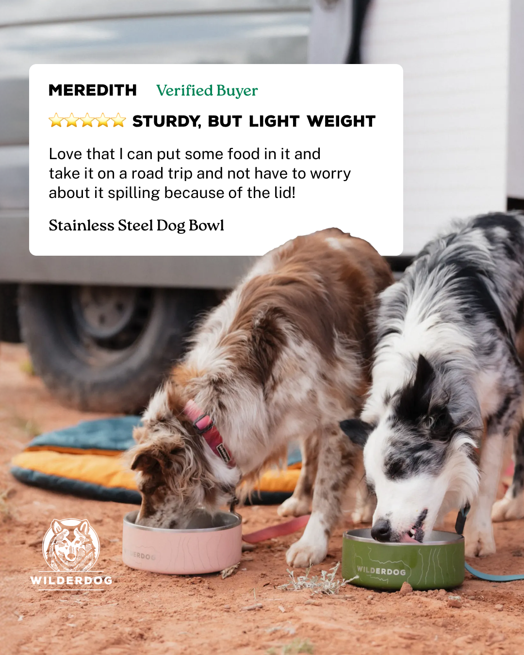 Wilderdog Facebook ad: Stainless Steel Dog Bowl