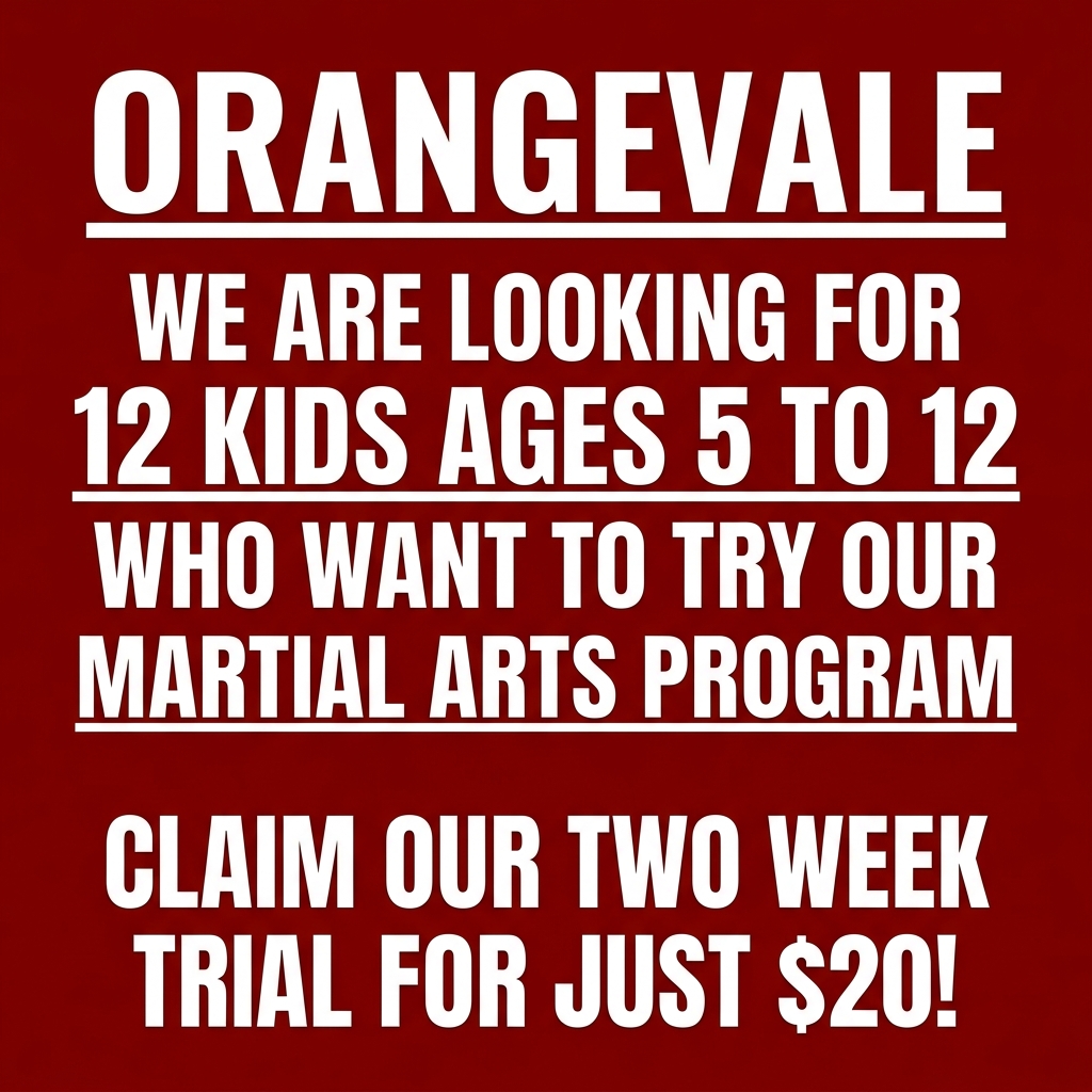 Orangevale Academy - Family Taekwondo Facebook ad