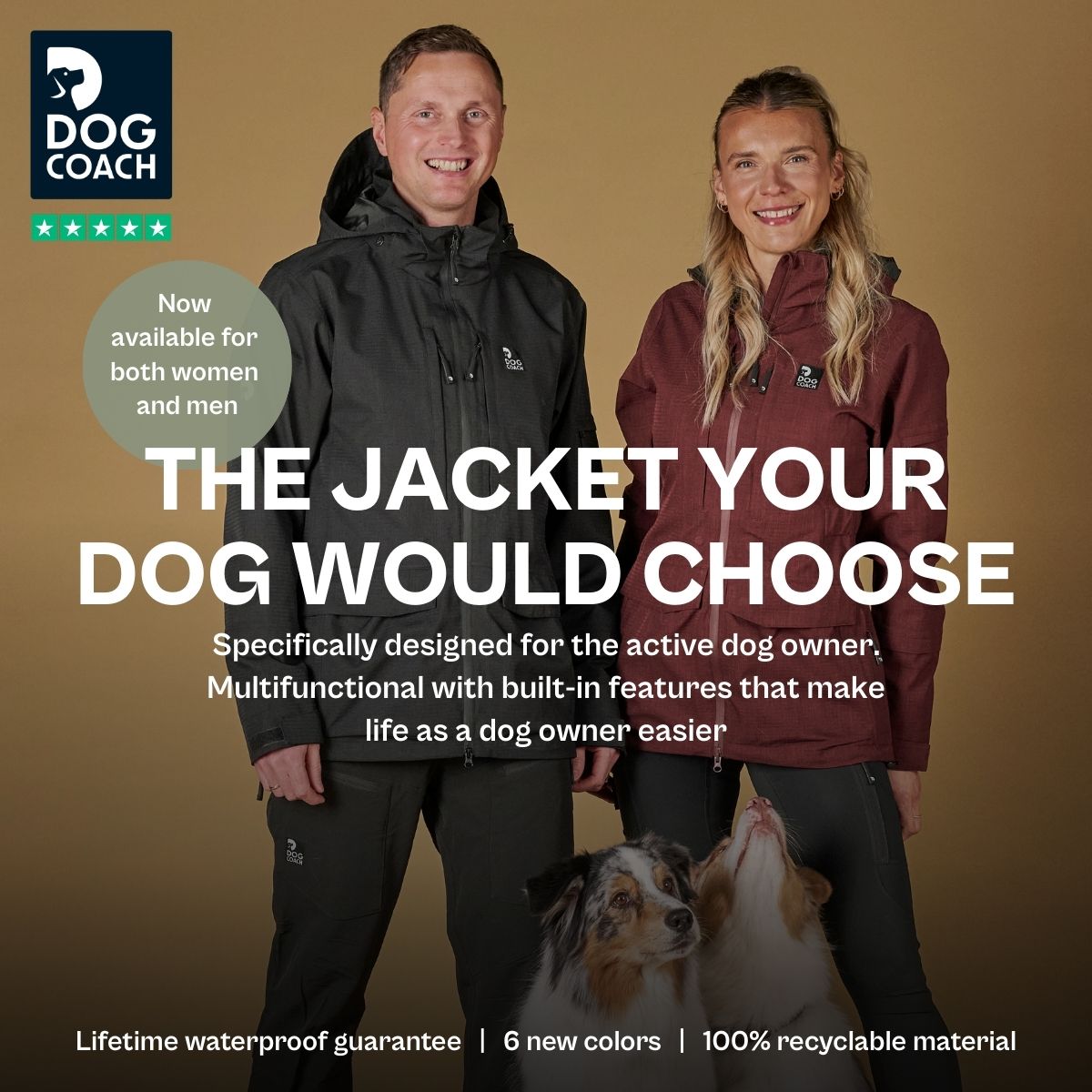DogCoach Facebook ad