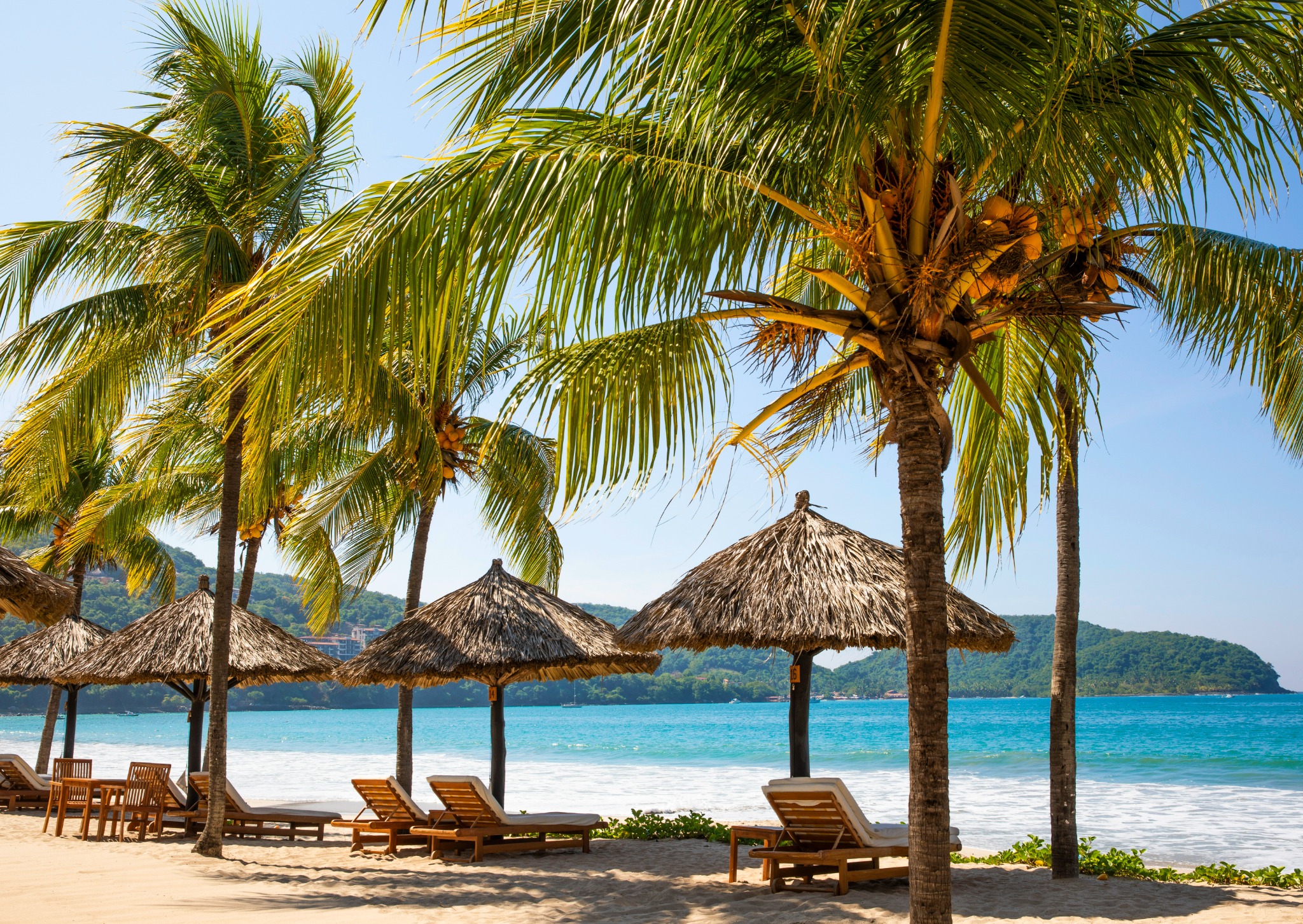 Thompson Zihuatanejo Facebook ad: Ahorre Hasta Un 10% Con La Tarifa Membresía