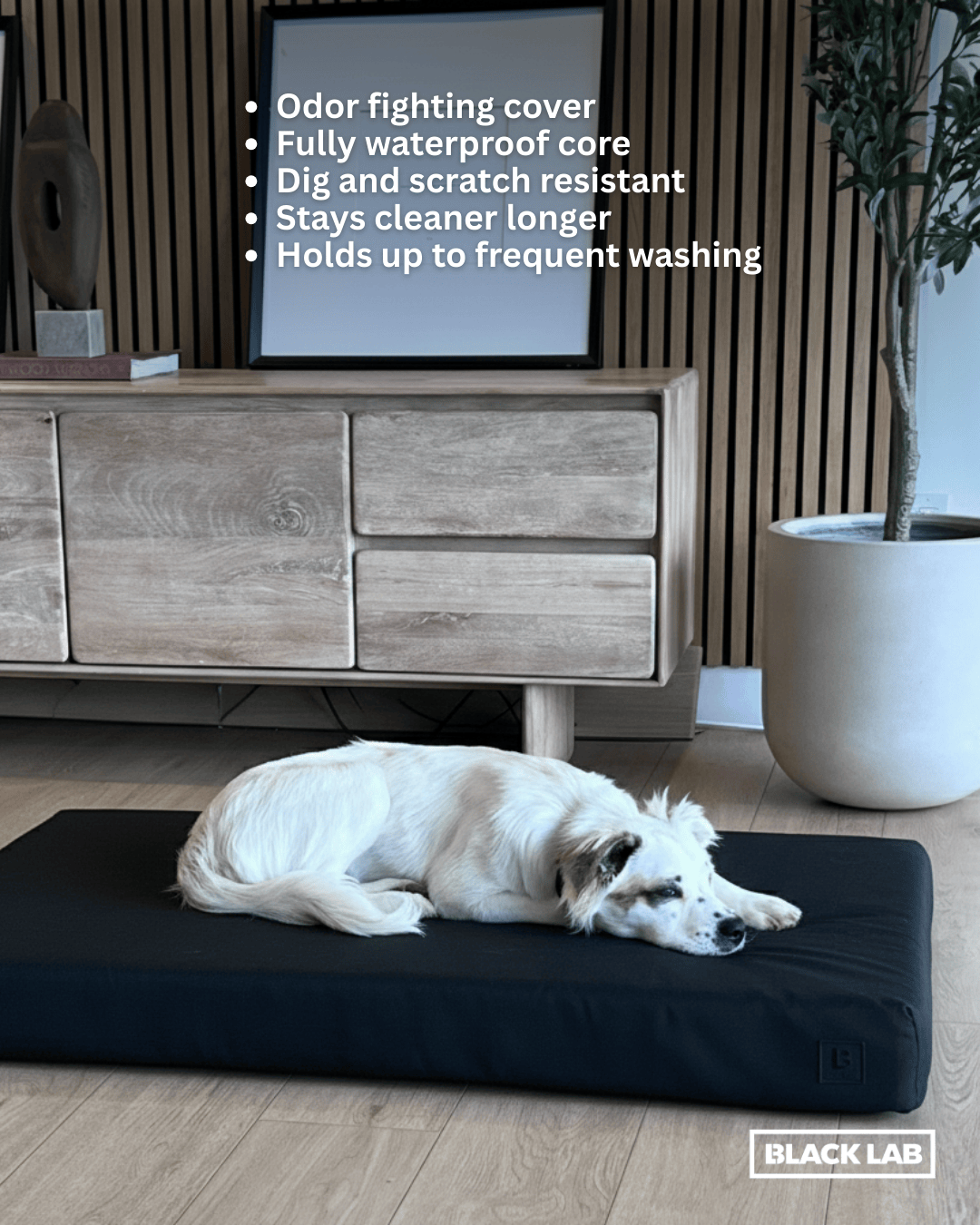 Black Lab Brands Facebook ad