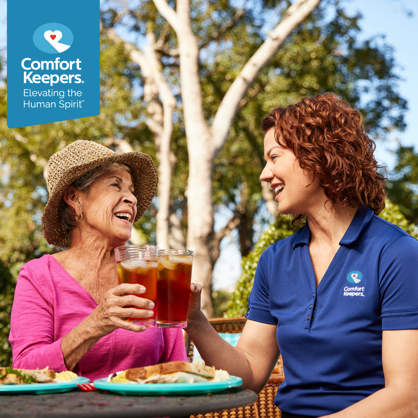 Comfort Keepers of Greenville, SC Facebook ad