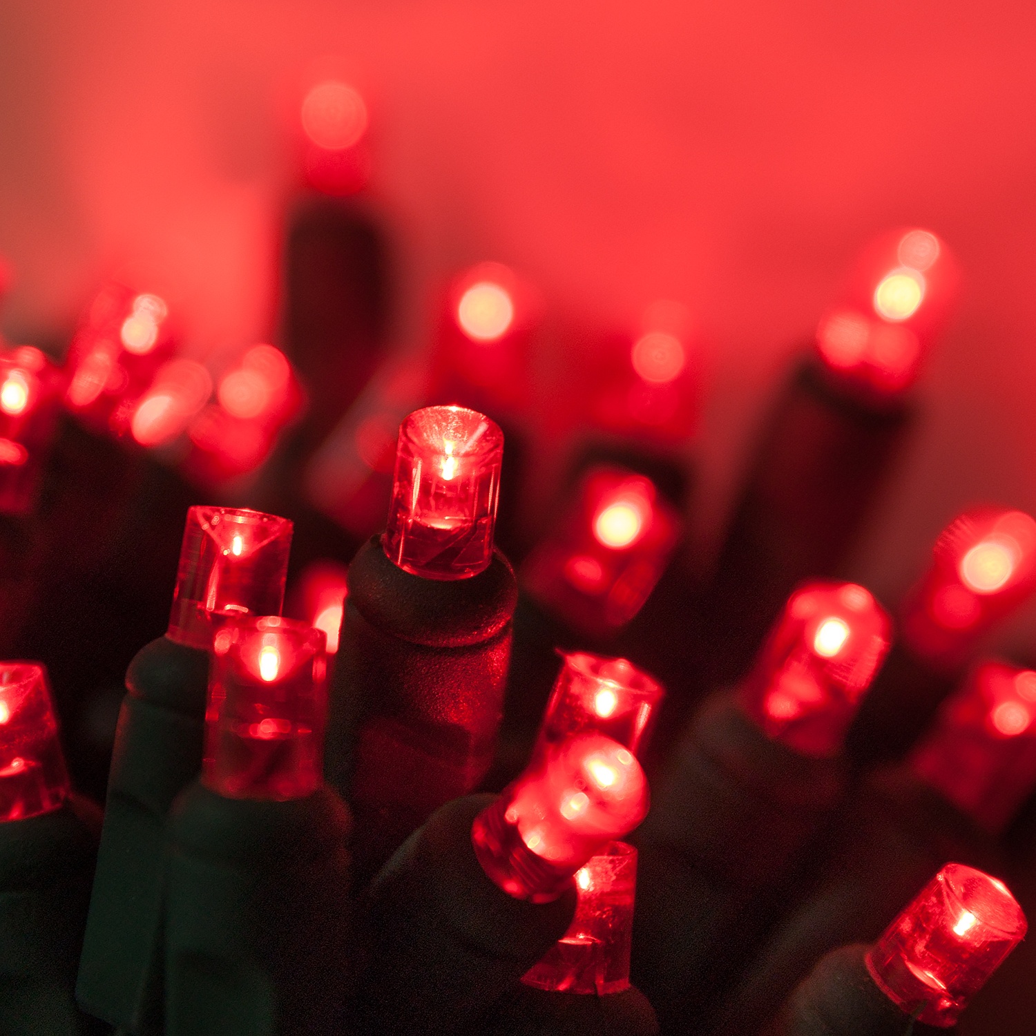 Christmas-Lights-Etc Facebook ad