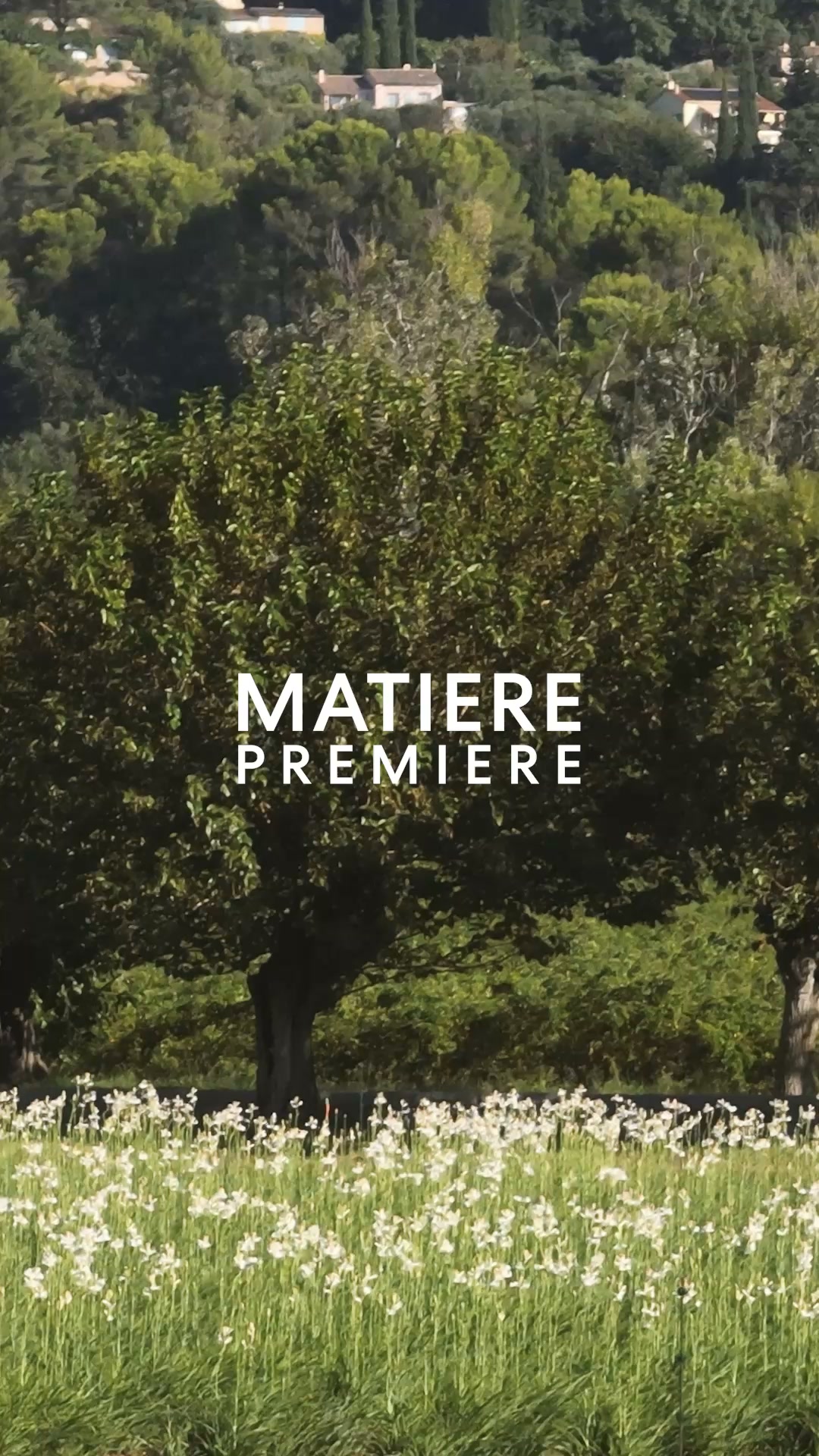 Matiere Premiere Parfums Facebook ad: L'odeur de notre champ de tubéreuses.