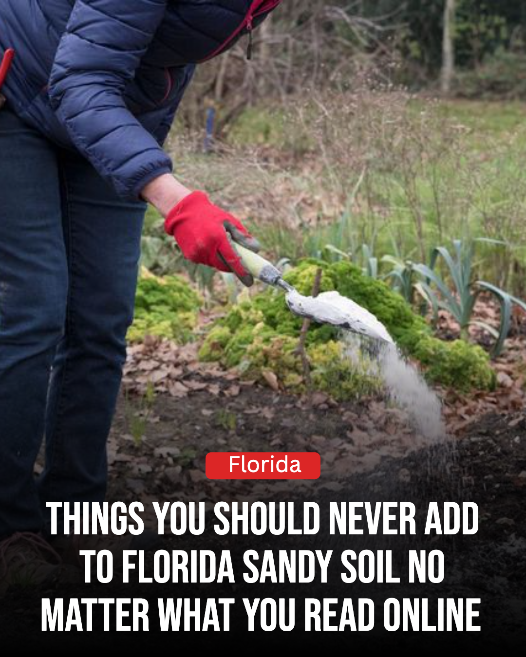 Florida Gardener Facebook ad: Things You Should Never Add To Florida Sandy Soil No…