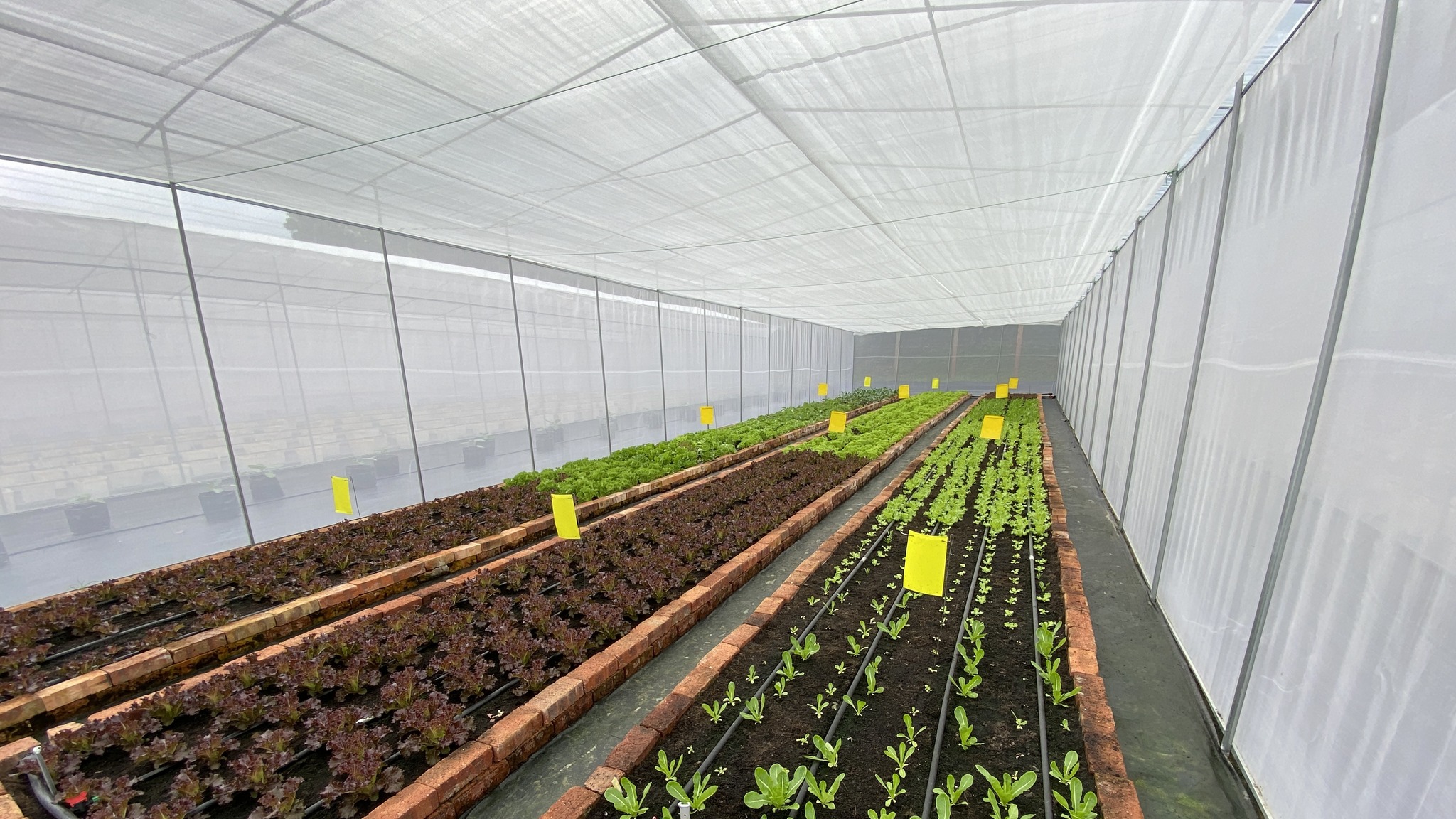 JTEC Agricultural & Gardening Stuff - TMCC Autoline Sdn Bhd Facebook ad: MEIRYO Agricultural Heat Shielding Material without…