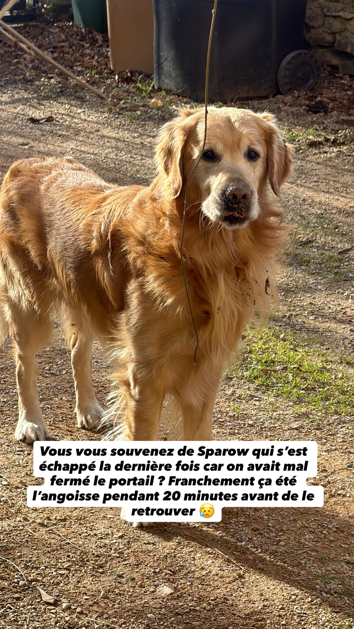 Sparow chateau de plaisance  Facebook ad